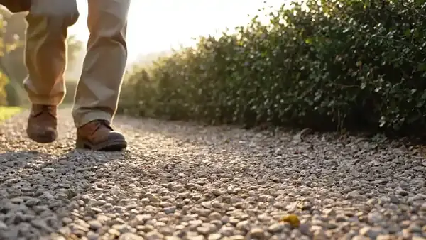 A man's boots walking at a steady pace along a gravel garden path beside a hedge